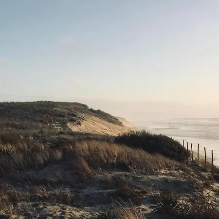 Sea View Family Escape Feriehus Denneville