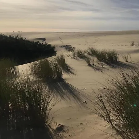 Sea View Family Escape *