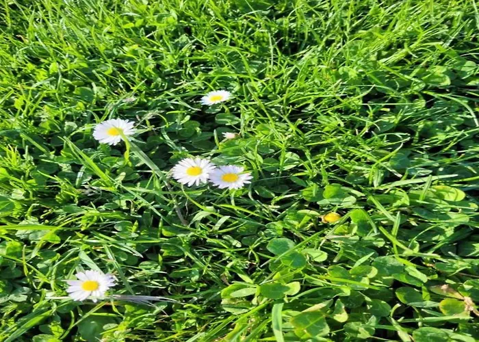 Sea View Family Escape * Denneville