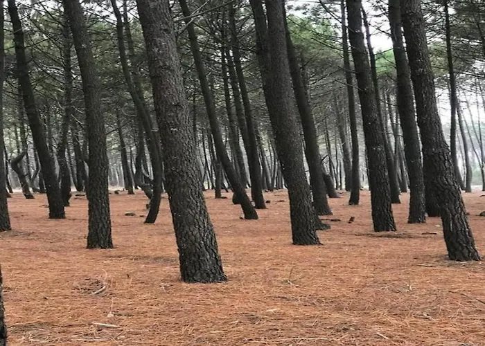 بيت للعطل Sea View Family Escape Denneville